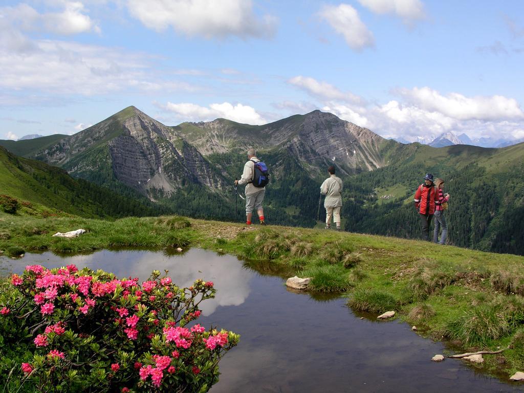 Ferienhaeuser Familie Hofer Stockenboi Weissensee Extérieur photo